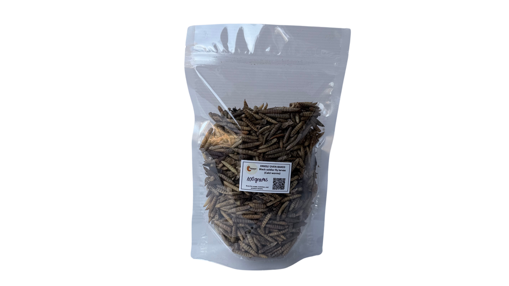 Dried Black Soldier Fly (BSF) Larvae 100g