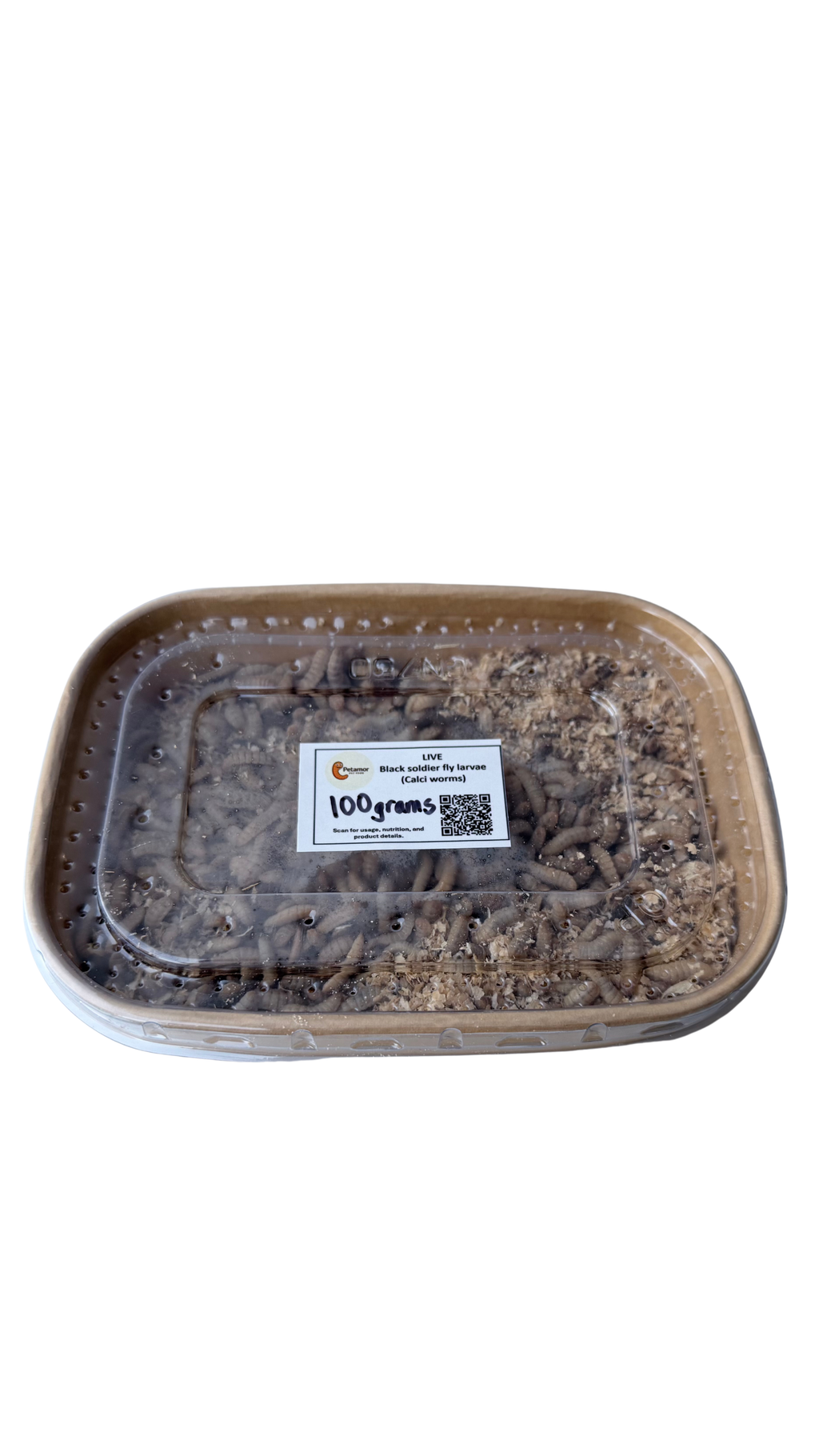 Live Black Soldier Fly (BSF) Larvae 100g